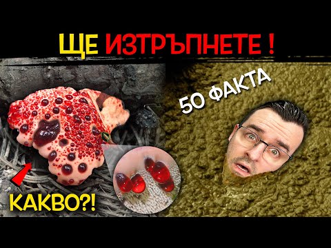 Видео: 50 Факта за ПРИРОДАТА, след които ЩЕ ИЗТРЪПНЕТЕ