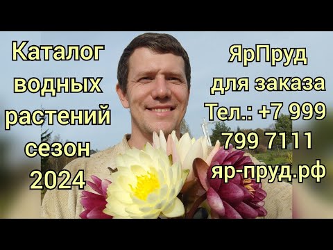 Видео: Питомник водных растений ЯрПруд Каталог 2024