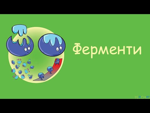 Видео: Ферменти