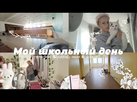 Видео: |ВЛОГМАС 5|моё утро/мой школьный день/тренировка/школа/🍁🍂#рек#рек