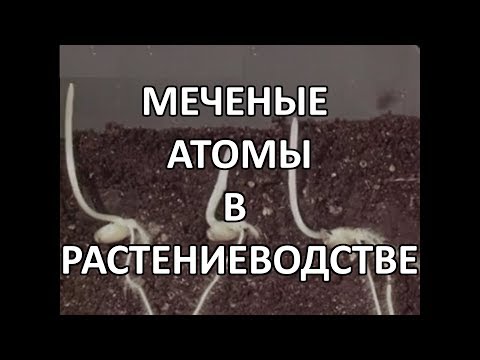 Видео: Меченые атомы