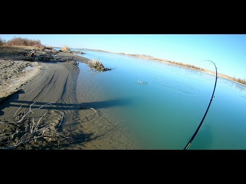 Видео: Мы его нашли! Река Или. Жерех.