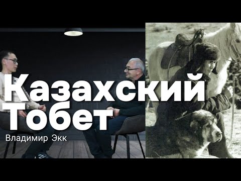 Видео: Казахский Тобет (Қазақы ит Төбет туралы сұхбаты)