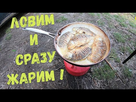 Видео: Рыбалка на весеннего карася! Жарим рыбу!