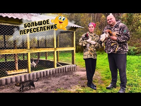 Видео: 🌾Как Мы ДАРИМ новую жизнь СТАРОМУ участку...🌿 ВЫПУСК 44