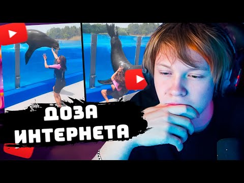 Видео: ДИПИНС СМОТРИТ ДНЕВНУЮ ДОЗУ ИНТЕРНЕТА #4