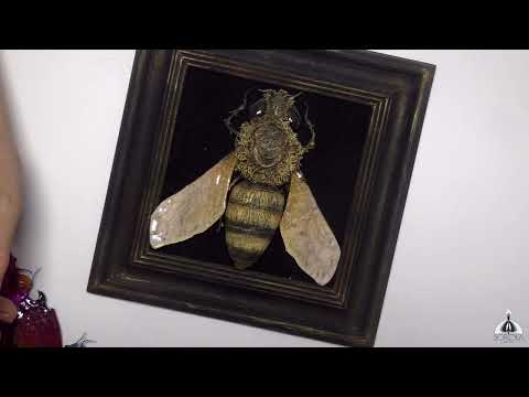 Видео: Мошка златокрылая ч.6