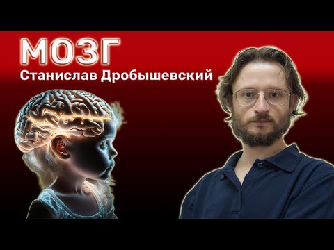 Видео: Мозг 🧠 Станислав Дробышевский