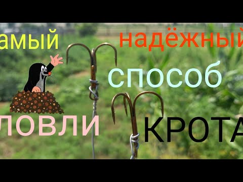 Видео: Самый надёжный способ ,ловли крота , слепыша!