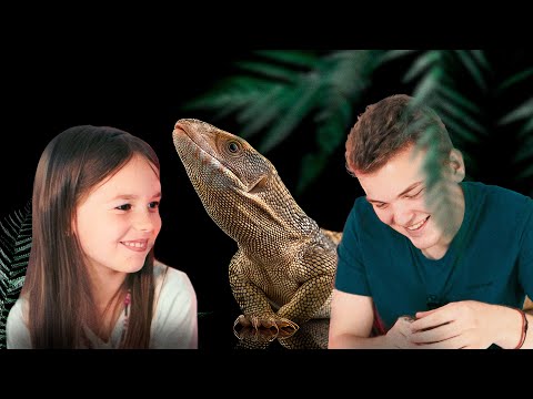 Видео: КАПСКИЙ ВАРАН. Справится даже РЕБЁНОК?