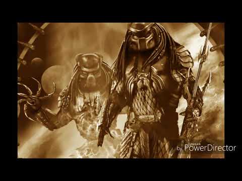 Видео: Хищник