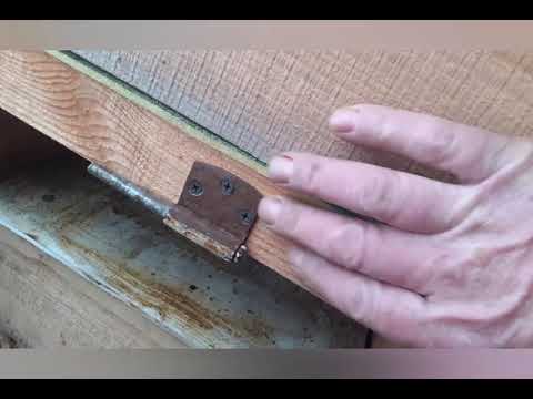 Видео: Контроль зимовки.