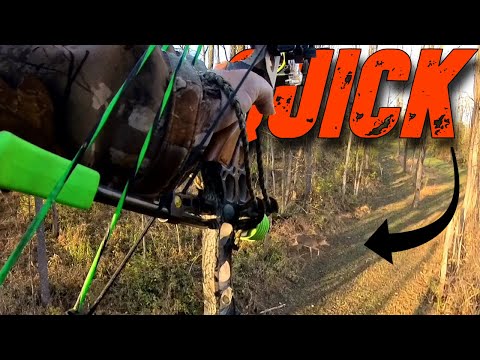 Видео: МИНУТЫ моей охоты ЭТО случилось! (Снято на 3 камеры): Охота на оленей 2024, эпизод 4