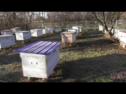 Видео: ОСТАНОВИТЕСЬ. КОРМ. УТЕПЛЕНИЕ.