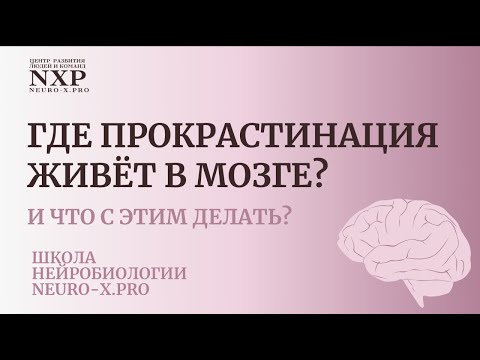 Видео: Нейробиология и нейропсихология прокрастинации