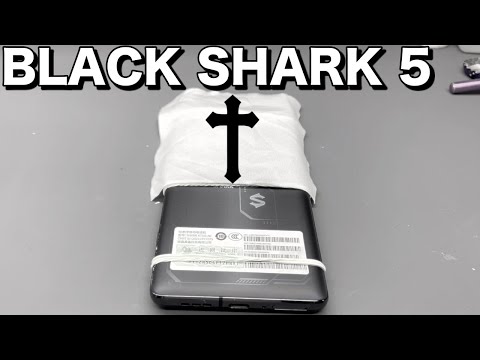 Видео: Черная акула 5 Pro мокрая