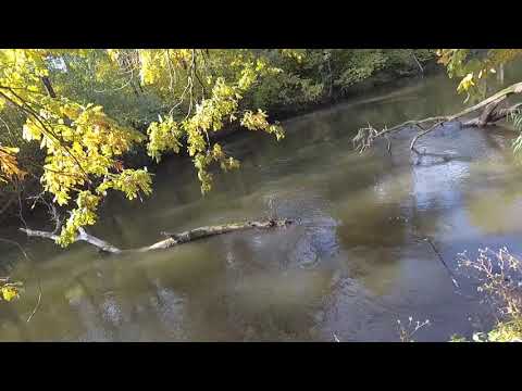Видео: Рыбалка по диким местам на щуку и судака, река Свислочь
