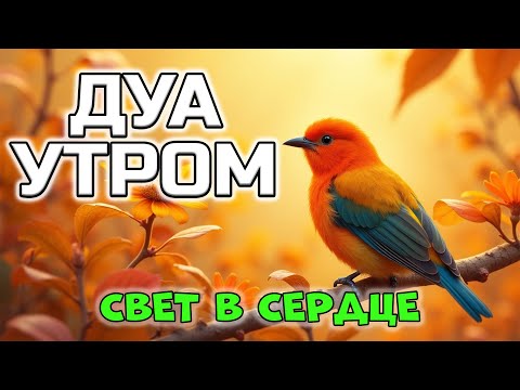 Видео: СВЕТ В СЕРДЦЕ — СИЛА УТРА В ДУА 💡❤️