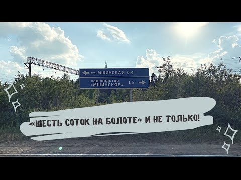 Видео: МШИНСКАЯ. "ШЕСТЬ СОТОК НА БОЛОТЕ" И НЕ ТОЛЬКО!