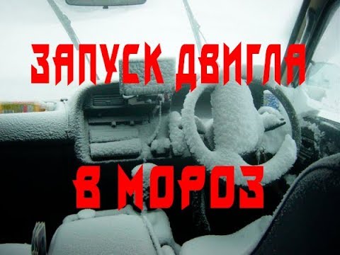 Видео: Как заводятся в лютый мороз разные автомобили  Подборка