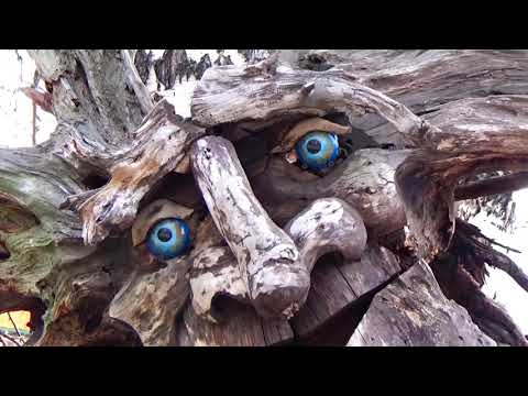 Видео: 2018 серия 2 На велосипеде в Красноярский край и Хакасию