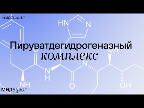 Видео: Пируватдегидрогеназный комплекс | Биохимия