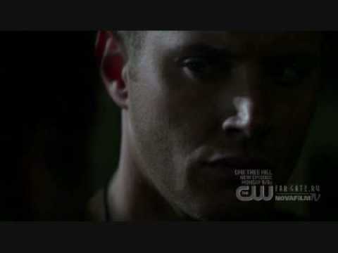 Видео: крылья