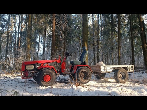 Видео: " Лёгкое " бездорожье.Заготовка дров.