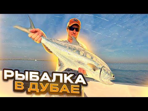 Видео: Рыбалка в Дубае с Лодки . Обзор приманок для Рыбалки с Лодки