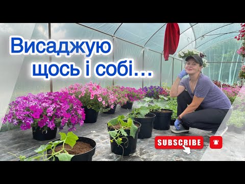 Видео: Висаджую квіти і огірки в горщики...