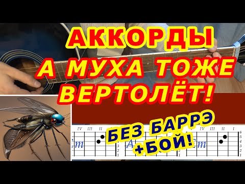 Видео: А МУХА ТОЖЕ ВЕРТОЛЕТ Аккорды 🎸 БЕЗ БАРРЭ ♪ Разбор песни на гитаре ♫ Гитарный бой для начинающих