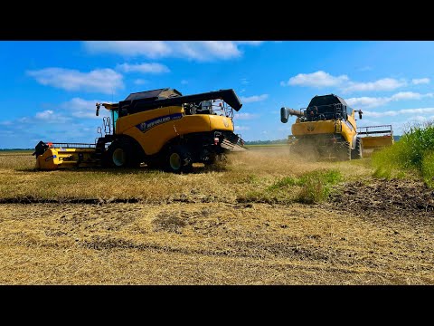 Видео: Жнива 2022 продовжуються,Газон поставив раком,Два дракона рвуть поля