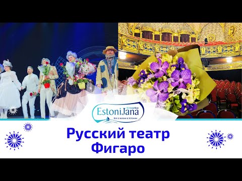 Видео: Эмоции,смех и аплодисменты -"Фигаро" покорил Таллинн.Театр,который невозможно не любить.Влог