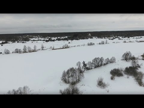 Видео: Медведица, Кашинский р-н, Тверская область, 11 декабря 2016