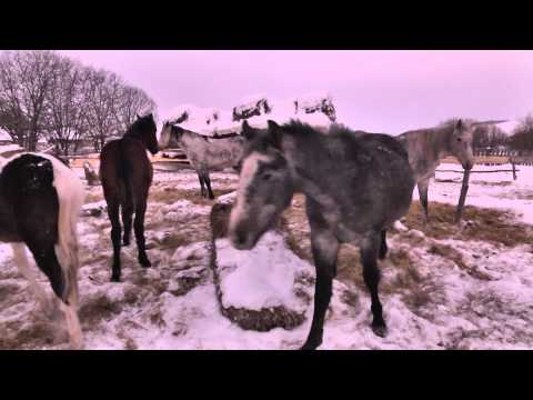 Видео: Юля Липницкая в деревне