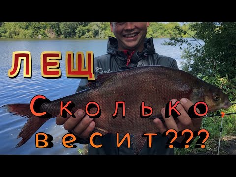 Видео: Долгожданный ЛЕЩ! С фидером на Москва реке!