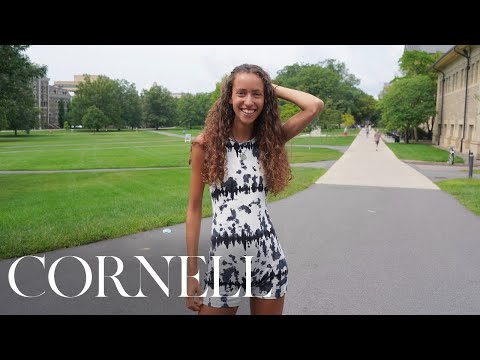 Видео: 73 вопроса студенту Корнелла | Модель IMG