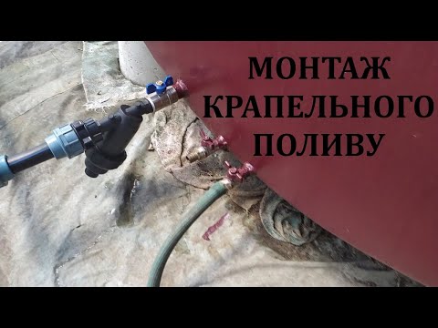 Видео: Монтаж крапельного поливу. Підживлення малини трав'яним настоєм.