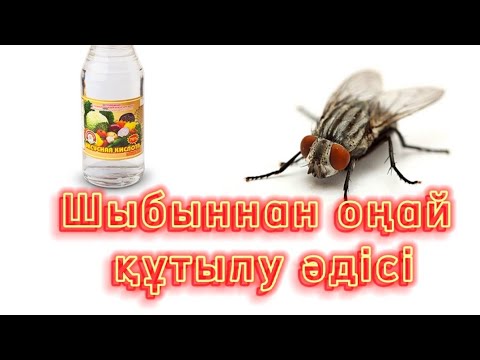 Видео: Шыбыннан тез кутылу әдісі. резултат100%