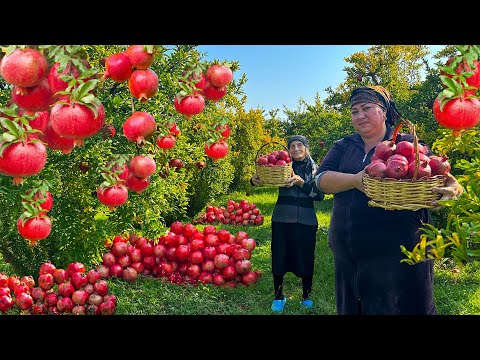 Видео: Бабушкин | 136-минутное видео, полное необычных рецептов | Деревенская жизнь
