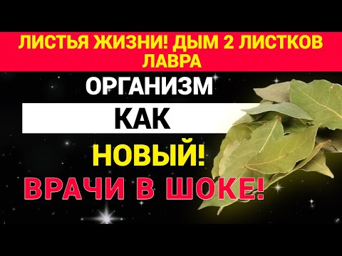 Видео: ЛИСТЬЯ ЖИЗНИ! Дым 2 ЛИСТКОВ ЛАВРА и организм как Новый. Врачи в шоке!