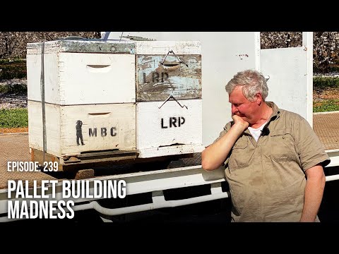 Видео: Приключения по изготовлению двух поддонов для ульев, облегчающих перемещение ульев | The Bush Bee...