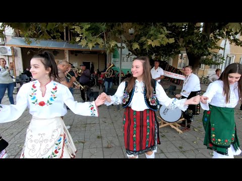 Видео: БЪЛГАРСКОТО ХОРО! ОТ ВИДИНСКО!