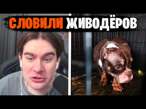 Видео: БРАТИШКИН ПРО СИТУАЦИЮ С ПИТОМЦАМИ ДЖАРАХОВА, КОРЕША И ЕГО ДЕВУШКИ