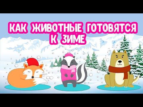 Видео: КАК ЖИВОТНЫЕ ГОТОВЯТСЯ К ЗИМЕ.  КАК ЗИМУЮТ В ЛЕСУ