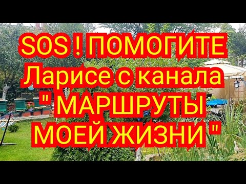 Видео: ЛЮДИ ! ПОМОГИТЕ ЛАРИСЕ С КАНАЛА " МАРШРУТЫ МОЕЙ ЖИЗНИ " /для нее это вопрос жизни и смерти ...