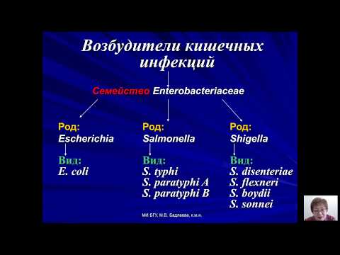 Видео: Возбудители бактериальных и вирусных инфекций (Бадлеева М.В.) - 1 лекция