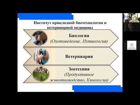 Видео: Как поступить в университет в 2021 году