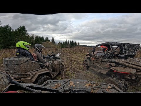 Видео: Пробежка🚜по осеннему лесу🌲🌲🌲 бодрит и радует пейзажами