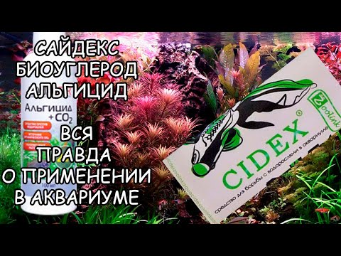 Видео: САЙДЕКС, БИОУГЛЕРОД, АЛЬГИЦИД В АКВАРИУМЕ. ВСЯ ПРАВДА